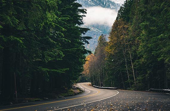 images/imagehover/image05.jpg