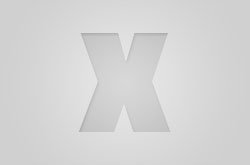 image-hightlight